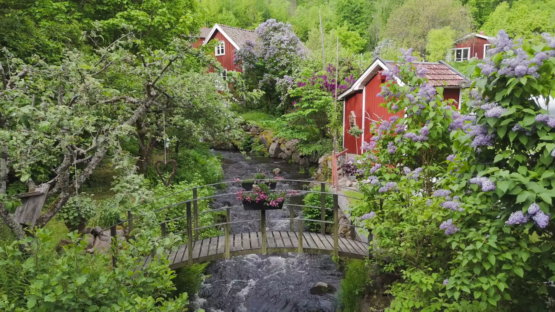 Erstes Videobild: rote Häuser und ein Bach in grüner Landschaft